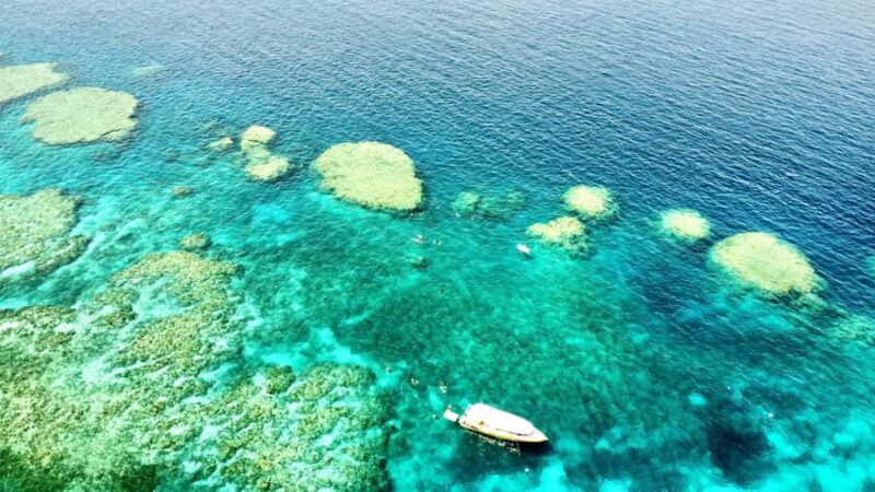 Airlie Beach: Great Barrier Reef & Whitehaven Beach Tour - The Guides and Crew: Making the Difference