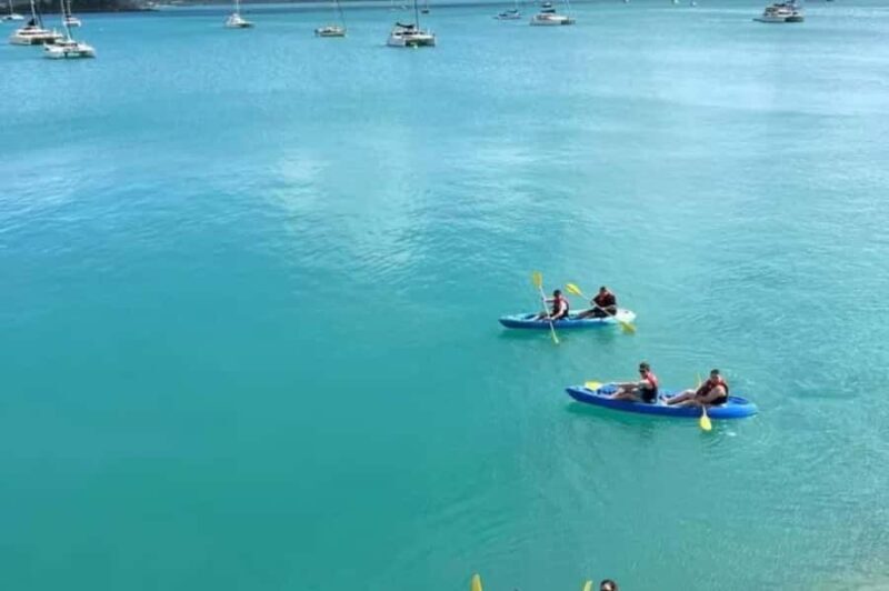 Airlie Beach: Half Day Turtle Tour Sea Kayaking Adventure - Exploring the Airlie Beach: Half Day Turtle Tour Sea Kayaking Adventure