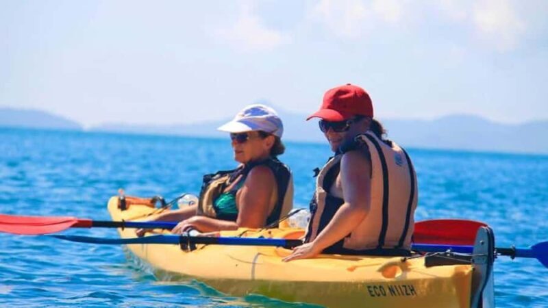 Airlie Beach: Half Day Turtle Tour Sea Kayaking Adventure - Who Would Love This Experience?