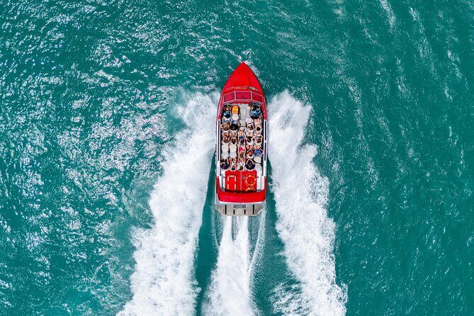 Airlie Beach Jet Boat Thrill Ride - The Bottom Line: Who Is This Tour For?