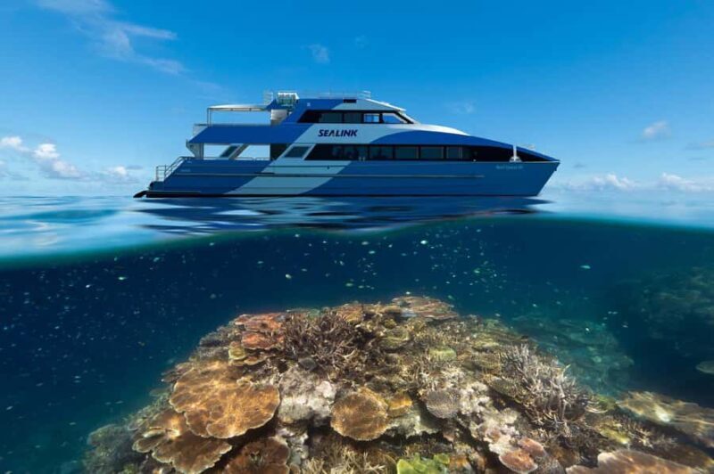 Airlie Beach: Outer Great Barrier Reef Snorkeling Day Trip - Key Points