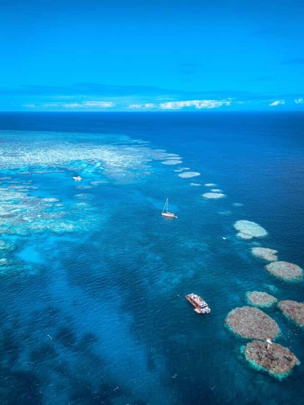Airlie Beach: Outer Great Barrier Reef Snorkeling Day Trip - Who is This Tour Best For?