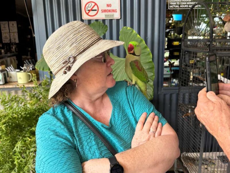 Airlie Beach: Sightseeing Bus Tour - Practical Details and Tips