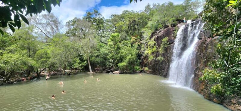 Airlie Beach: Waterfall & Rainforest Bushwalk Eco Adventure - Key Points