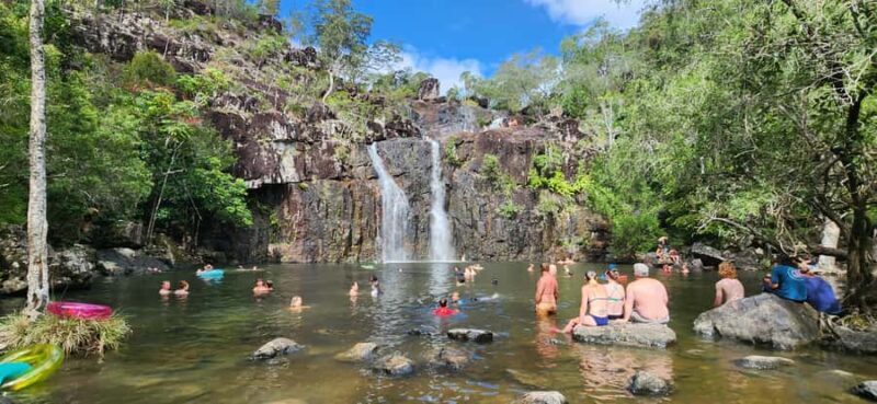 Airlie Beach: Waterfall & Rainforest Bushwalk Eco Adventure - A Closer Look at the Experience