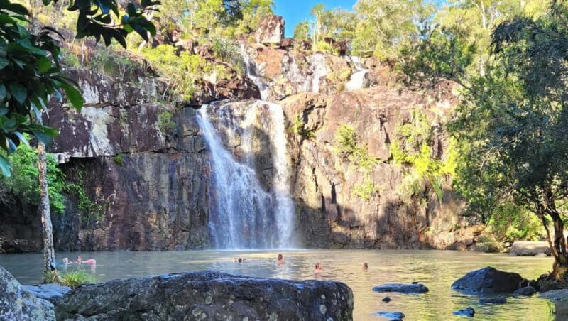 Airlie Beach: Waterfall & Rainforest Bushwalk Eco Adventure - Who Will Love This Tour?