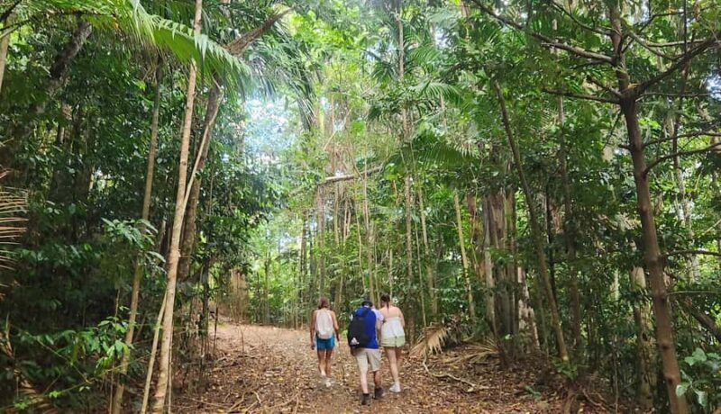 Airlie Beach: Waterfall & Rainforest Bushwalk Eco Adventure - FAQ