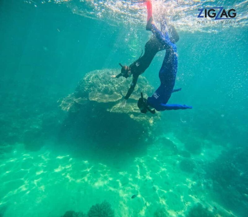 Airlie Beach: Whitehaven Beach Day Tour with Snorkel Option - What You Can Expect from This Whitehaven Beach Tour