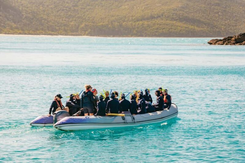 Airlie Beach: Whitsundays Full-Day Camira Sailing Adventure - Snorkeling and Marine Life