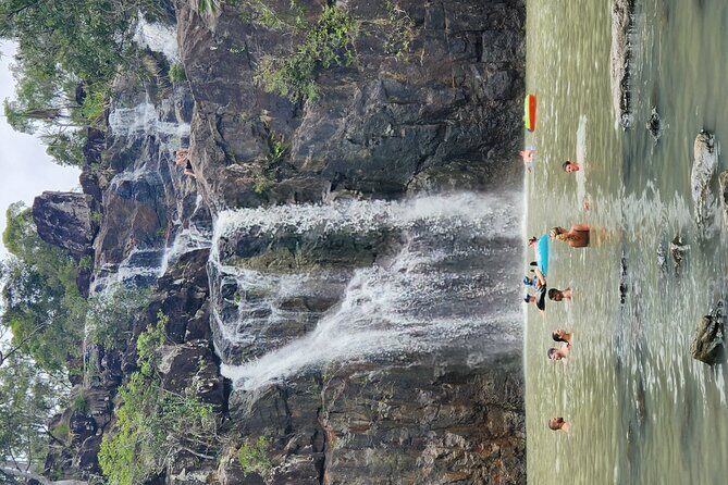 Airlie Waterfalls & Rainforest Bushwalk Eco Adventure - The Itinerary Breakdown: What to Expect