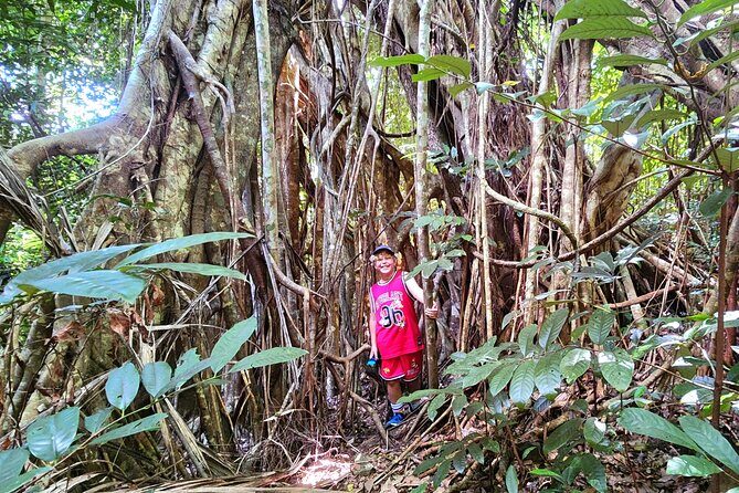 Airlie Waterfalls & Rainforest Bushwalk Eco Adventure - The Sum Up: Who is this tour perfect for?