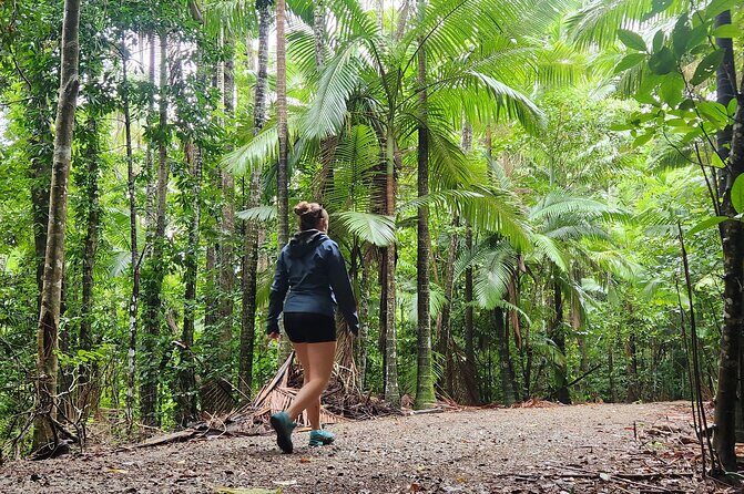 Airlie Waterfalls & Rainforest Bushwalk Eco Adventure - FAQ