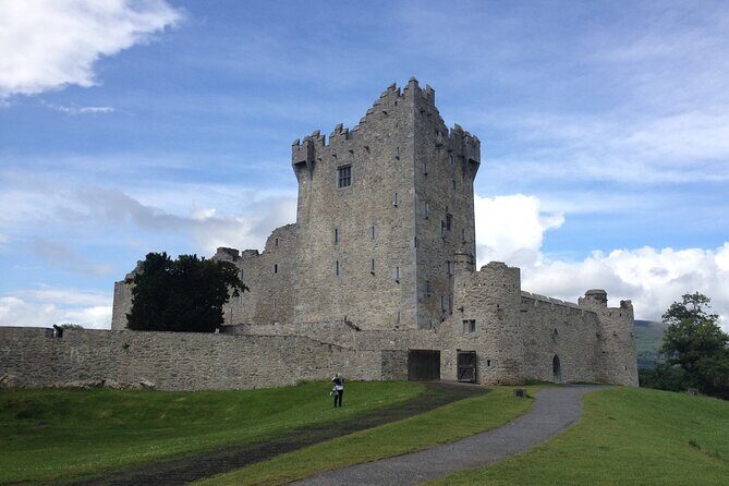 Airport collection and drop off transfers transport service. - In-Depth Look at the Cork Airport Transfer Service