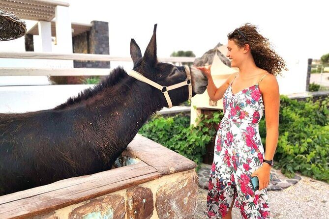 Airport, Port and Hotel Private Transfer in Santorini - Customer Service and Reviews