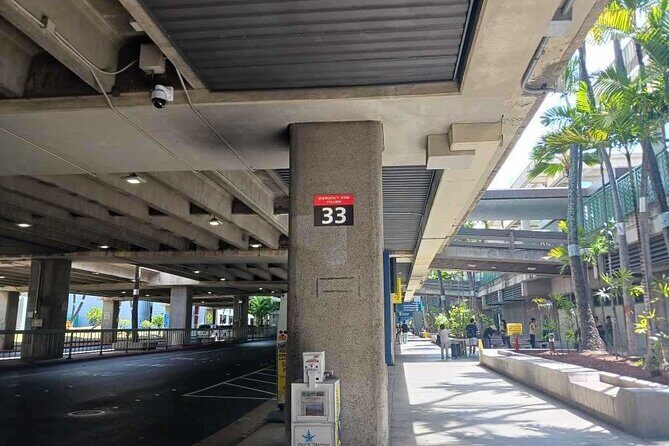 Airport Shuttle - HNL Airport to Waikiki - Who Is This Shuttle Best For?