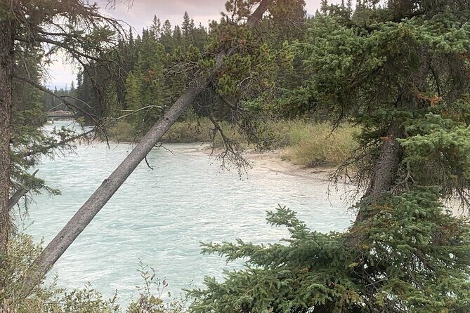 Airport Shuttle: Lake Louise  Calgary - Who Should Consider This Shuttle?