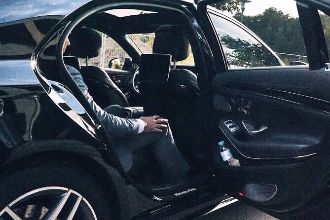 Airport Transfer: Hamburg Airport HAM to Hamburg by Business Car - What the Service Offers in Detail