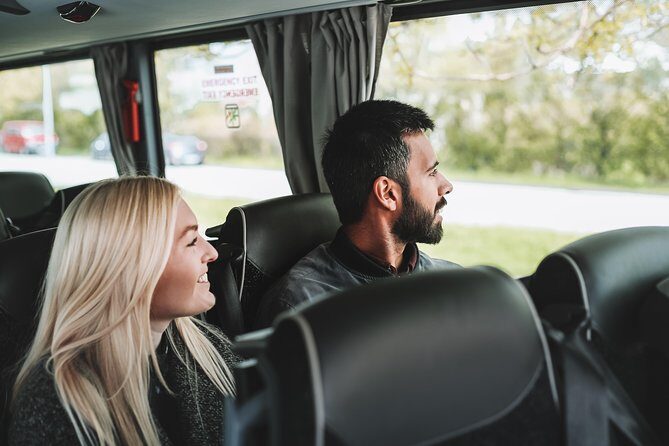 Airport Transfer in Iceland from Reykjavik City to Keflavik Airport with Hotel Pick Up - The Realities of Group Travel and Reviews