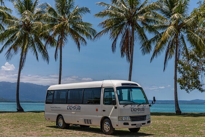 Airport Transfers between Cairns Airport and Port Douglas - Key Points