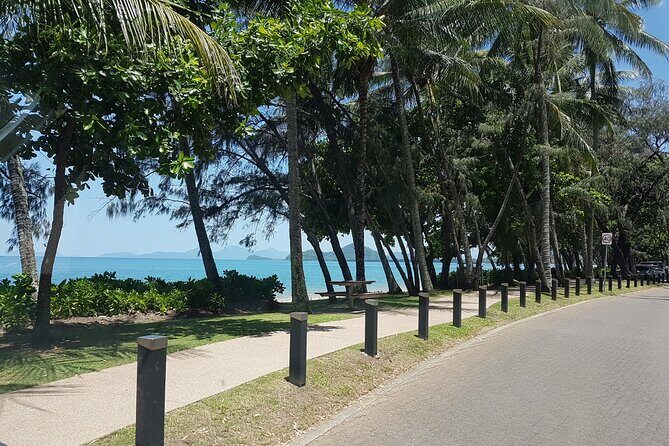 Airport Transfers between Cairns Airport and Port Douglas - Final Thoughts: Is It Worth It?
