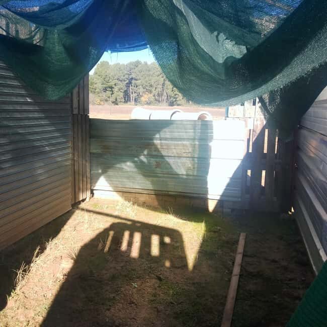 Airsoft, like paintball, but more realistic, immersive games. - What Is This Airsoft Tour All About?