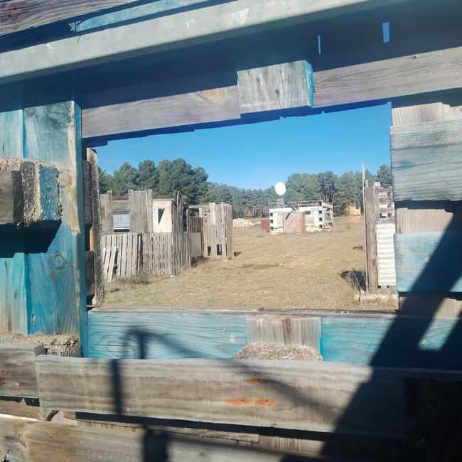 Airsoft, like paintball, but more realistic, immersive games. - What Reviewers Say