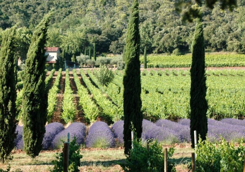 Aix En Provence and Wine Tasting Private Full day Tour - Final Thoughts