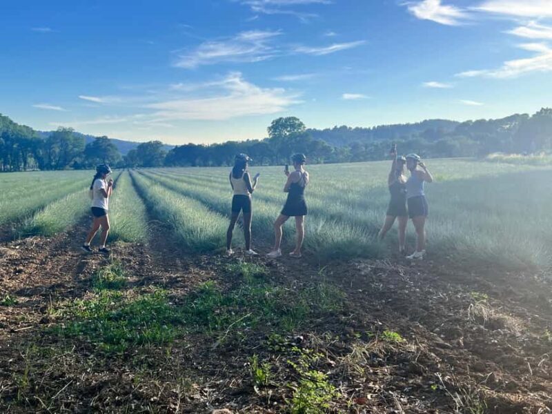 Aix-en-Provence: E-Bike Tour of Mount Sainte-Victoire - Key Points