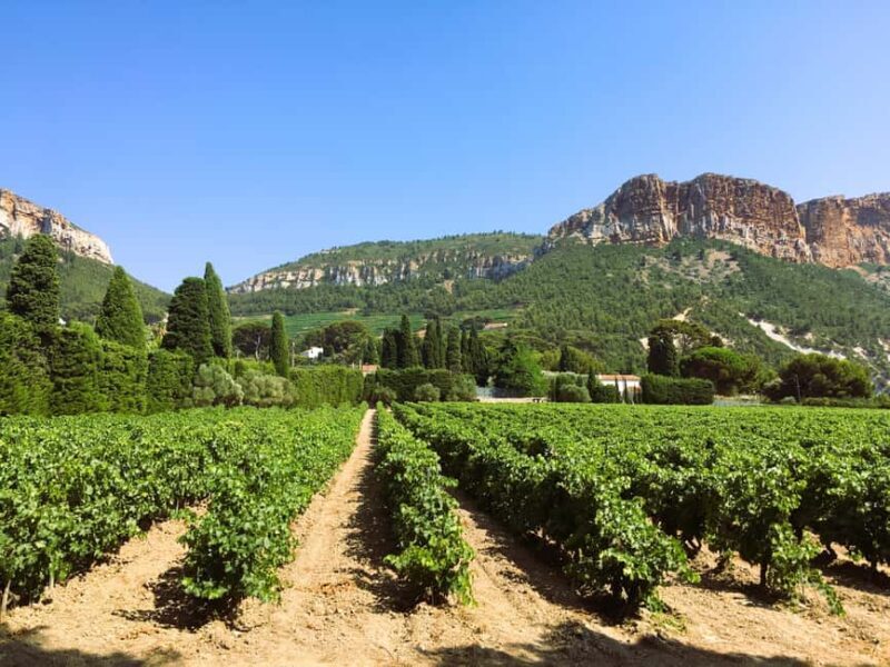 Aix-en-Provence: Half Day Wine Tour in Bandol and Cassis - An In-Depth Look at the Tour Experience