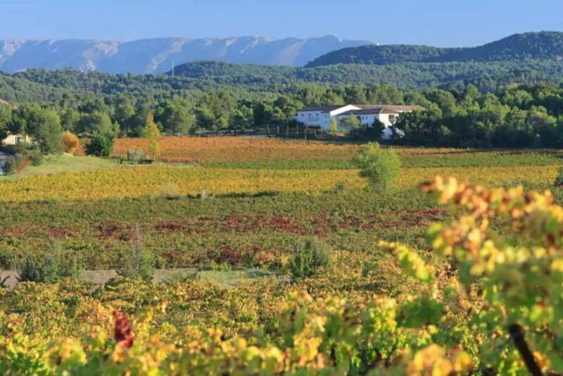 Aix-en-Provence: Half Day Wine Tour in Coteaux d'Aix - Key Points