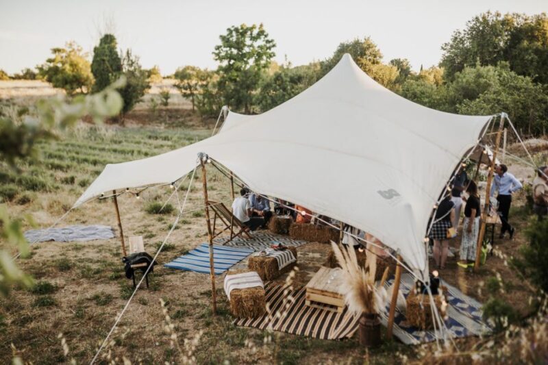 Aix-en-Provence: Lavender Fields Visit - The Verdict on the Experience