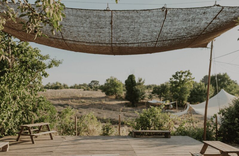 Aix-en-Provence: Lavender Fields Visit - Who Is This Tour Best For?