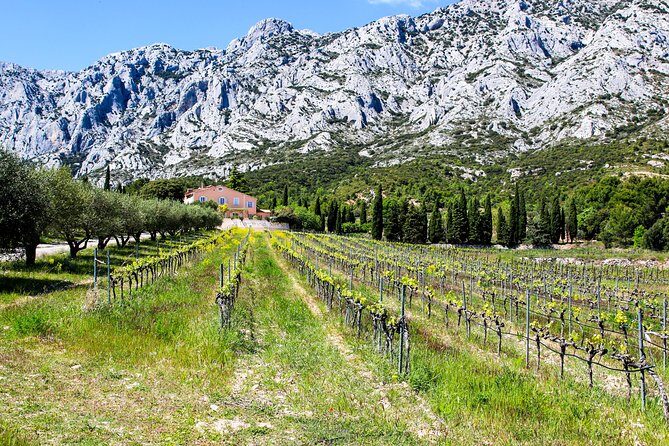 Aix-en-Provence - Mt Sainte Victoire wines in search of Cézanne - Final Thoughts: Is It Worth It?