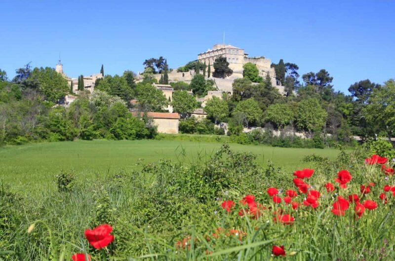 Aix-en-Provence: Nature Tour by Electric Bike - Key Points