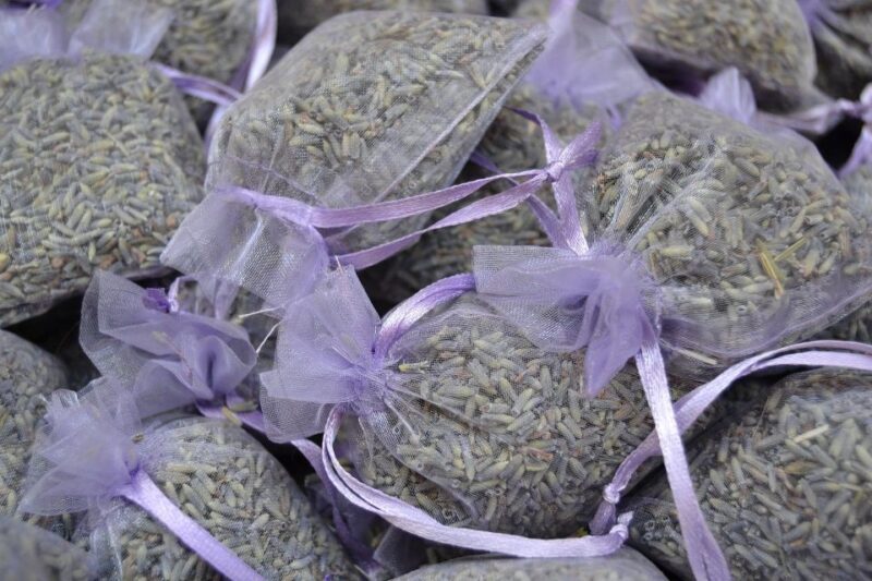 Aix-en-Provence: Private Walking Tour - Why This Tour Fits Best for You