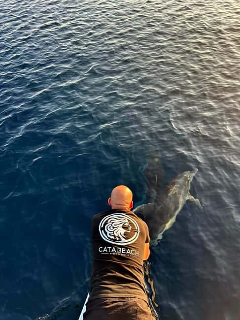 Ajaccio: Sunset at the Sanguinaires Islands - The Itinerary: What You Can Expect