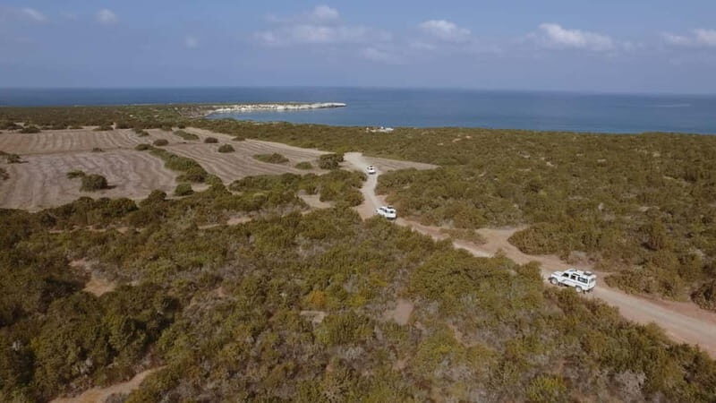 Akamas Jeep Safari Tour from Paphos - Exploring the Akamas Jeep Safari from Paphos: An Honest Look