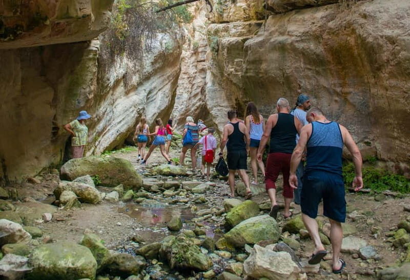 Akamas Jeep Safari Tour from Paphos - Key Points