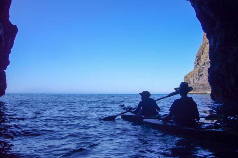 Akaroa: 4WD Safari and Guided Sea-Kayaking Experience - An In-Depth Look at the Akaroa Experience
