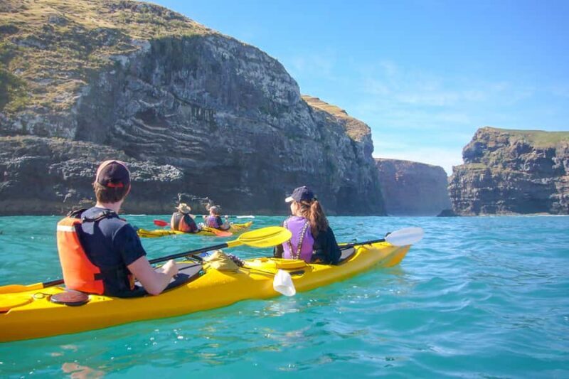 Akaroa: 4WD Safari and Guided Sea-Kayaking Experience - Who Is This Tour Best For?