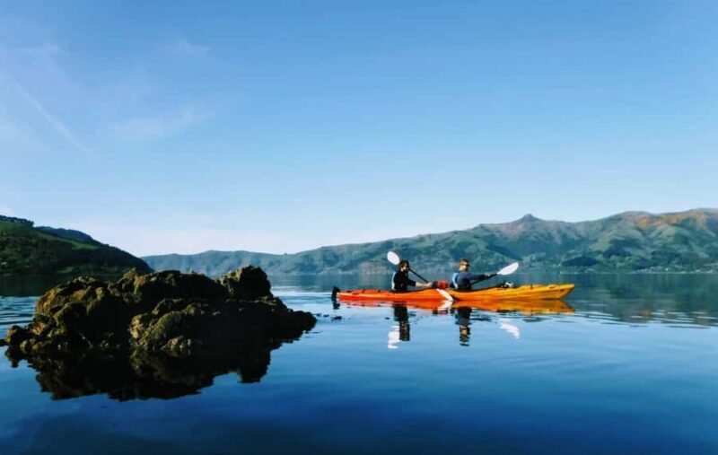 Akaroa: Akaroa Marine Reserve Sea Kayaking Tour - Why This Tour Is Worth Considering