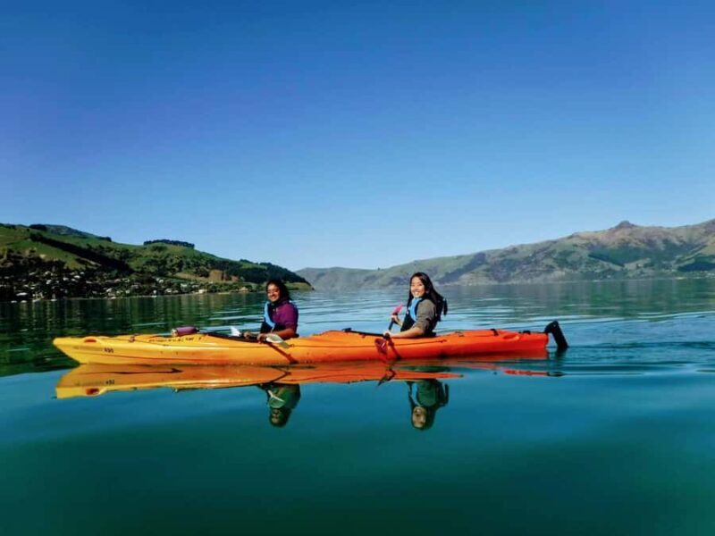 Akaroa: Akaroa Marine Reserve Sea Kayaking Tour - The Value of the Tour