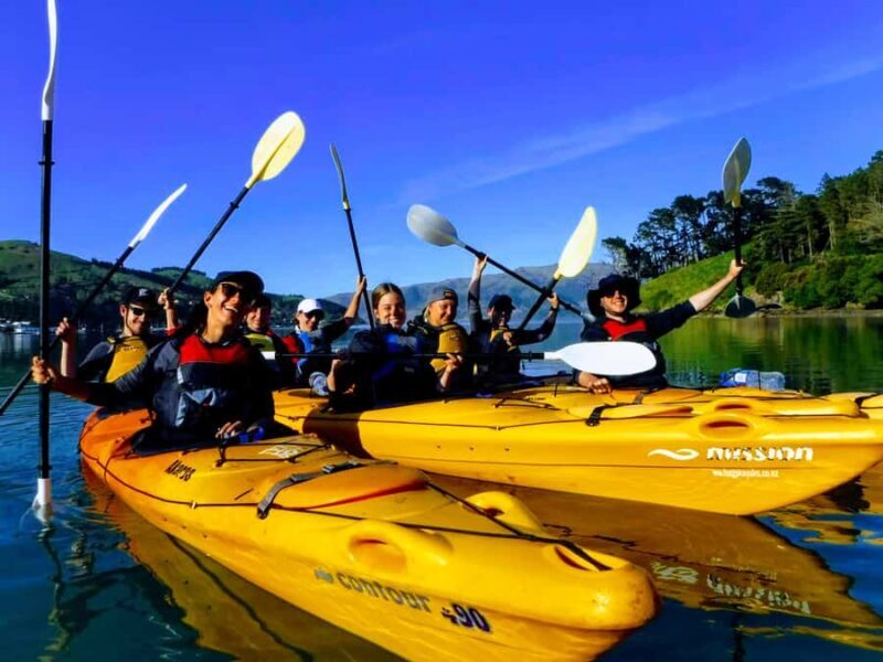 Akaroa: Akaroa Marine Reserve Sea Kayaking Tour - Who Would Love This Experience?