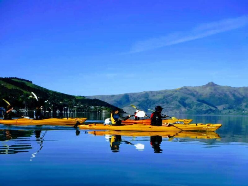 Akaroa: Akaroa Marine Reserve Sea Kayaking Tour - Final Thoughts