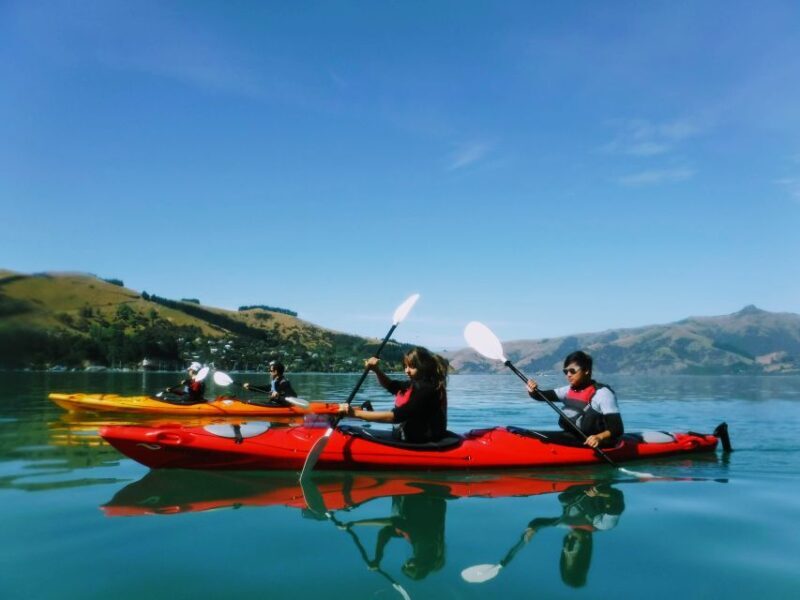 Akaroa: Akaroa Marine Reserve Sea Kayaking Tour - FAQ