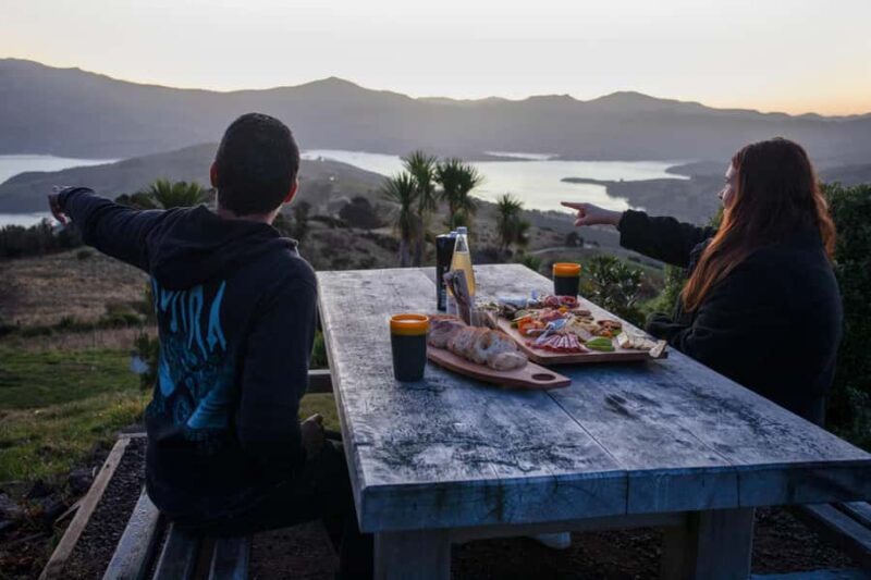 Akaroa: Astronomy Bites Tour with 3 telescopes and platter - Practical Details and Value