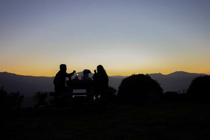 Akaroa: Astronomy Bites Tour with 3 telescopes and platter - Authentic Traveler Insights