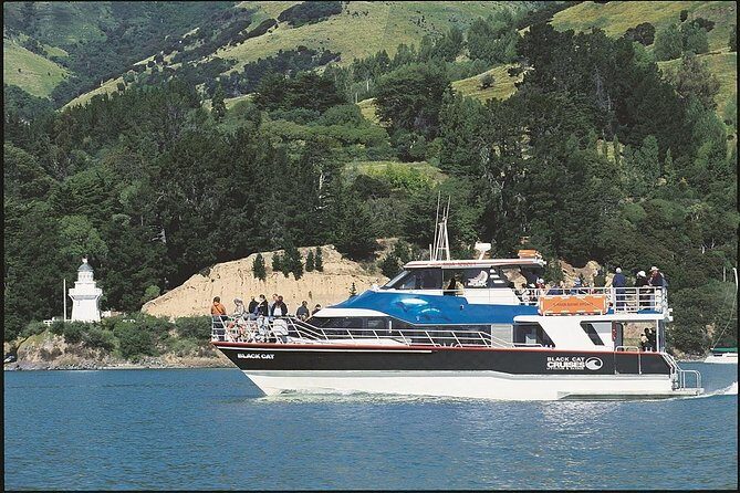 Akaroa Full Day Sightseeing Tour from Christchurch - A Deep Dive Into the Tour Experience