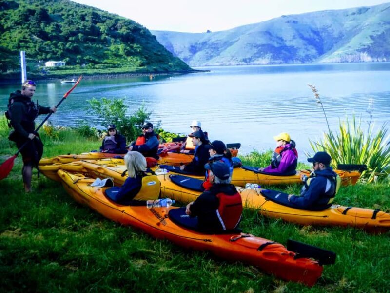 Akaroa: Guided Sunrise Sea Kayaking Tour - The Experience’s Value