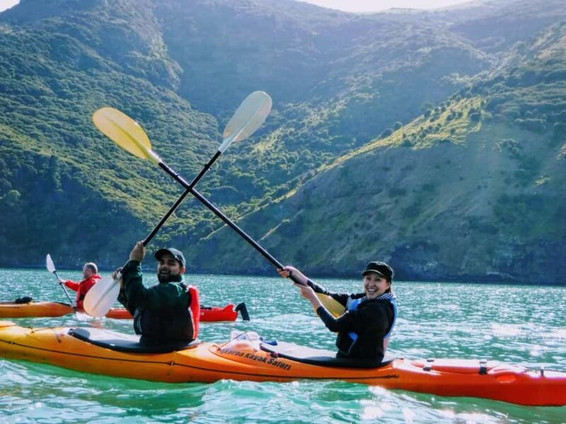 Akaroa: Guided Sunrise Sea Kayaking Tour - Important Practicalities